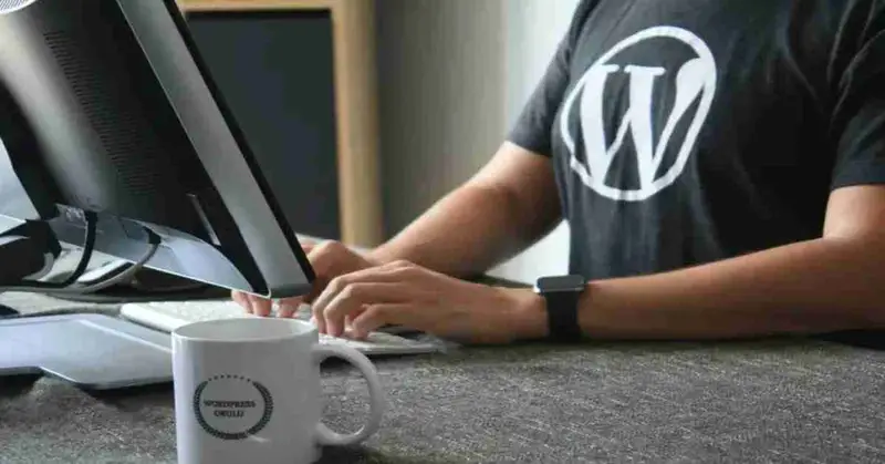 Common WordPress Issues