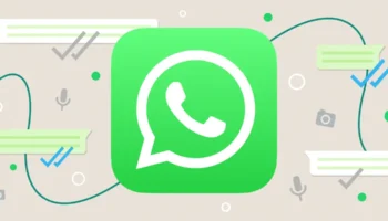 WhatsApp Users Report Sudden Blue Themes and Vanishing Chat Colors