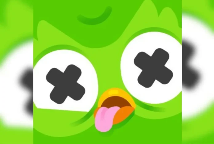 2586076 duolingo duolingo logo
